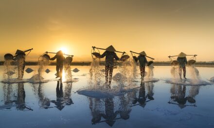 Lavoro significativo, vite soddisfacenti: l’orientamento professionale ha un ruolo da svolgere.