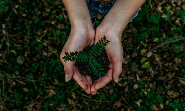 Il potere della natura: effetti curativi