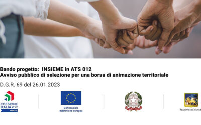 Bando: “INSIEME in ATS 012 – Avviso pubblico di selezione per una borsa di animazione territoriale”