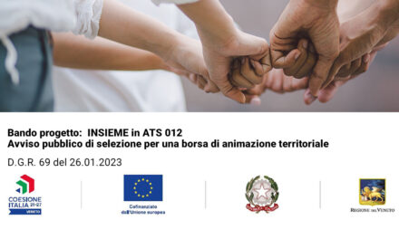 Bando: “INSIEME in ATS 012 – Avviso pubblico di selezione per una borsa di animazione territoriale”