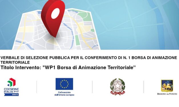 Verbale di selezione pubblica per il conferimento di n. 1 borsa di animazione territoriale